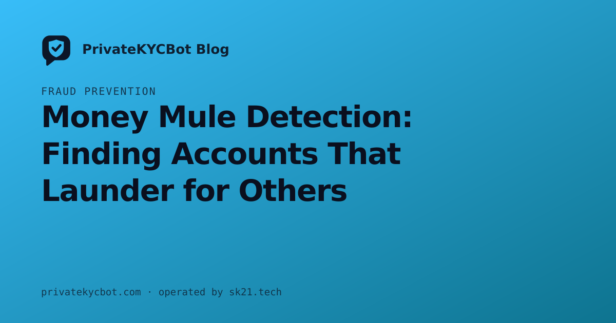 Money Mule Detection: Finding Accounts That Launder for Others