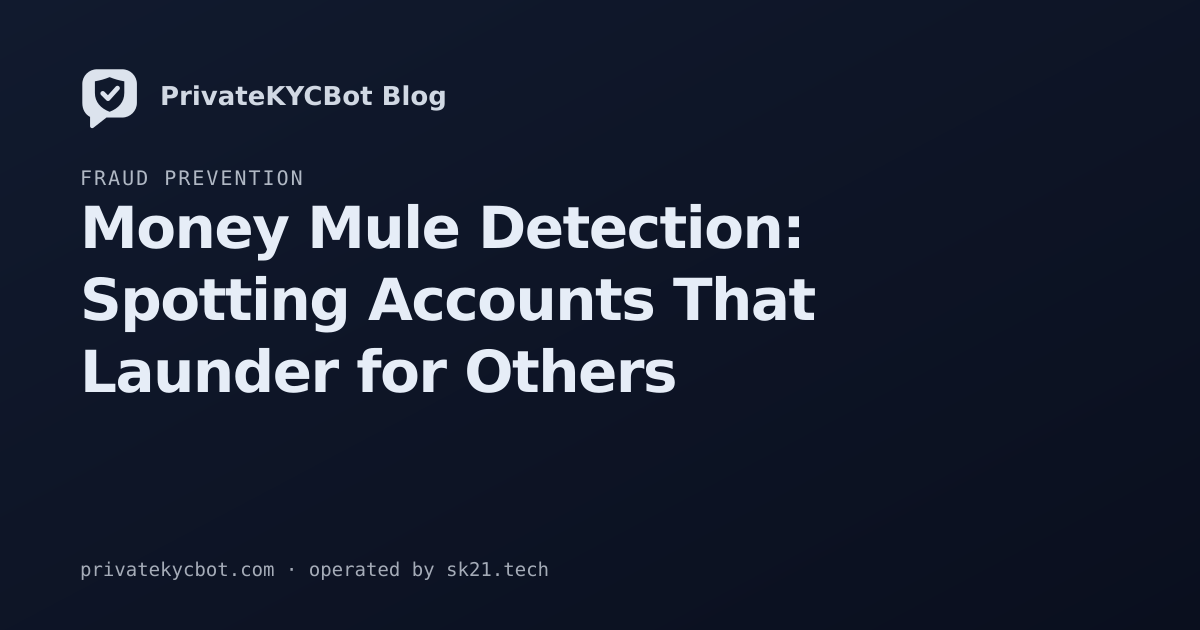 Money Mule Detection: Spotting Accounts That Launder for Others